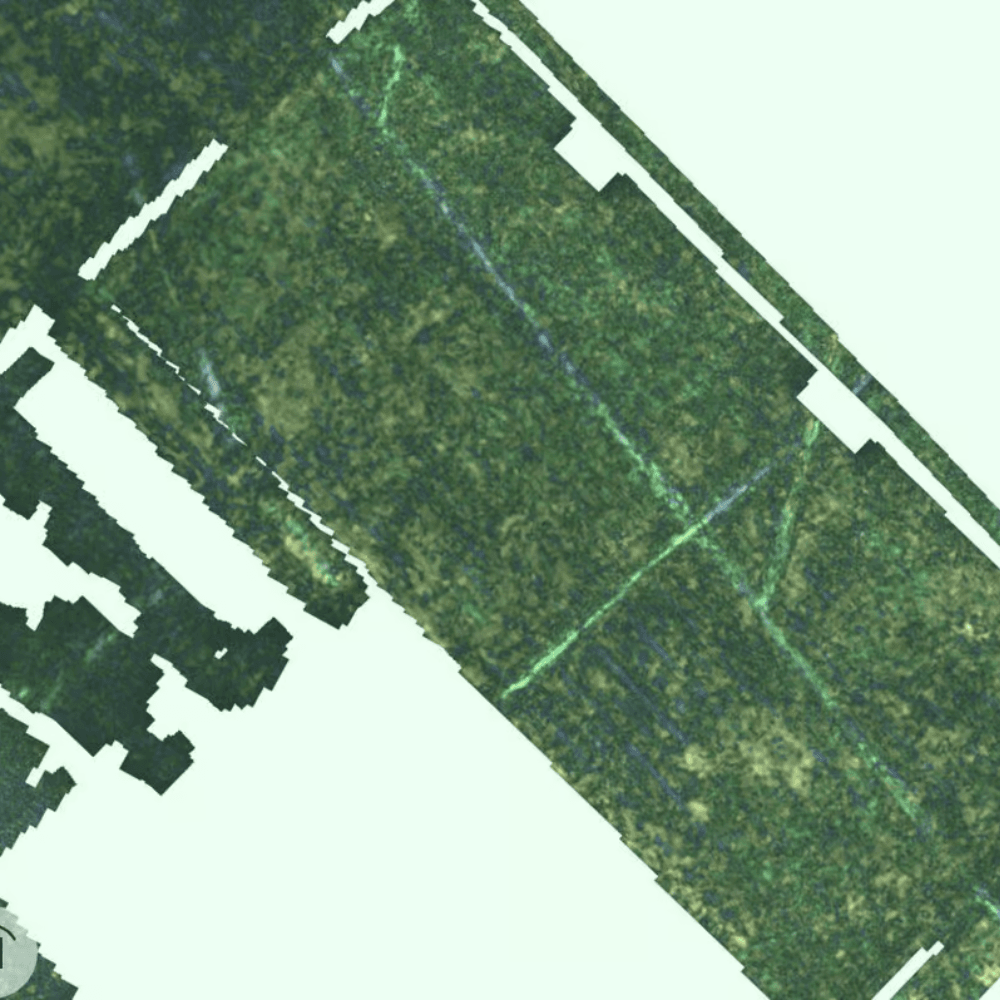 What Is A GPR Survey, GPR Surveying, GPR Survey Meaning